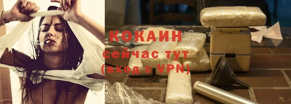 крисы Кодинск