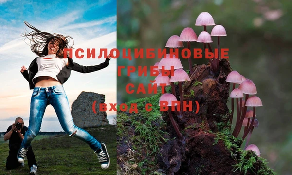мяу мяу кристалл Козловка