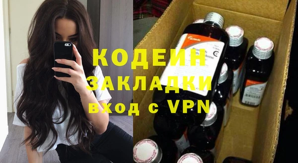 крисы Кодинск