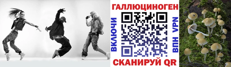 Купить где  Белозерск  Галлюциногенные грибы Magic Shrooms 